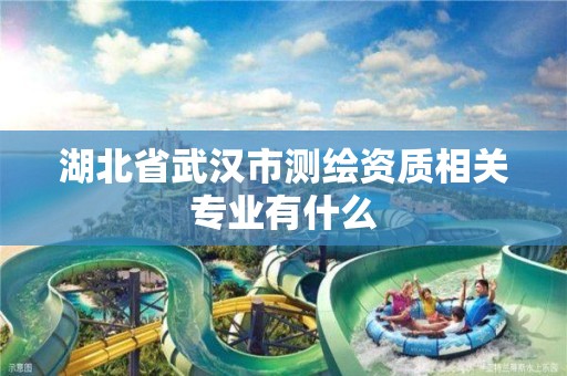 湖北省武漢市測繪資質相關專業有什么