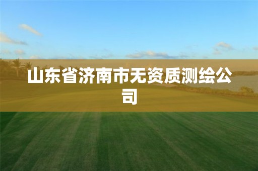 山東省濟南市無資質(zhì)測繪公司