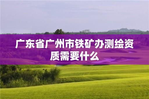 廣東省廣州市鐵礦辦測繪資質需要什么