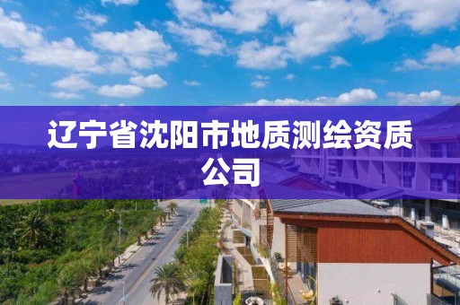 遼寧省沈陽市地質測繪資質公司