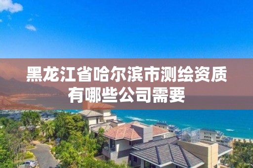 黑龍江省哈爾濱市測繪資質有哪些公司需要