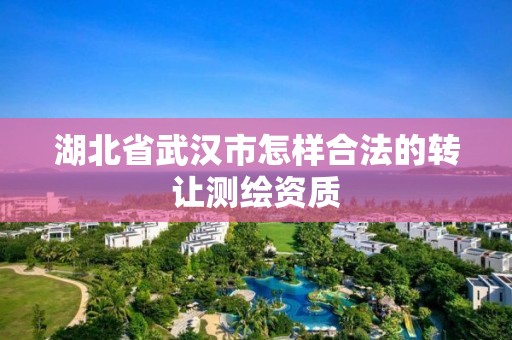 湖北省武漢市怎樣合法的轉讓測繪資質