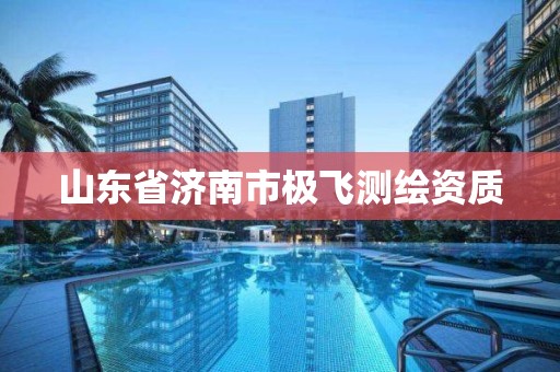 山東省濟南市極飛測繪資質