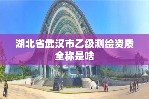 湖北省武漢市乙級測繪資質全稱是啥