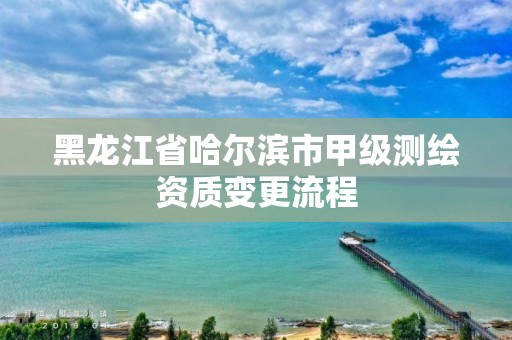 黑龍江省哈爾濱市甲級測繪資質變更流程