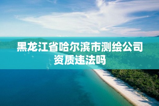 黑龍江省哈爾濱市測繪公司資質違法嗎