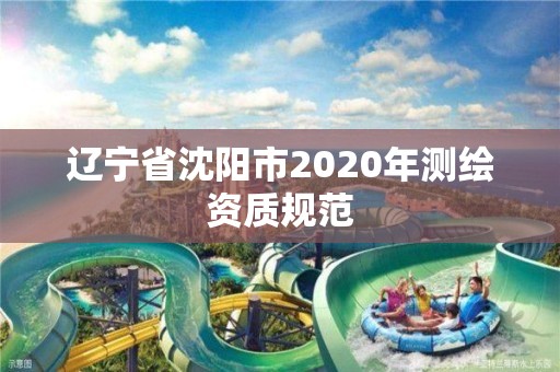 遼寧省沈陽市2020年測(cè)繪資質(zhì)規(guī)范