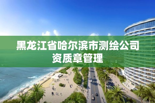 黑龍江省哈爾濱市測繪公司資質章管理