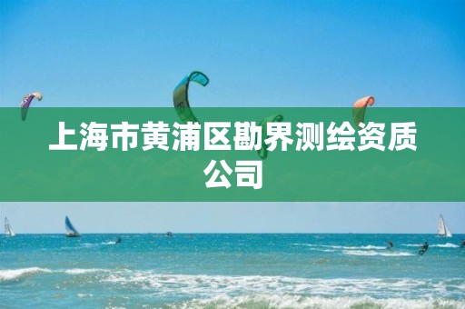 上海市黃浦區(qū)勘界測繪資質(zhì)公司