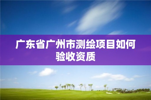 廣東省廣州市測繪項目如何驗收資質