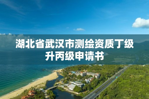 湖北省武漢市測繪資質(zhì)丁級升丙級申請書