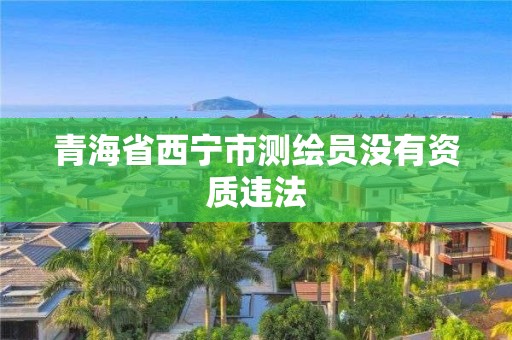 青海省西寧市測繪員沒有資質違法