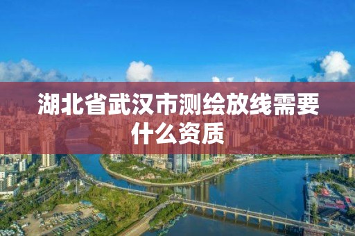 湖北省武漢市測繪放線需要什么資質