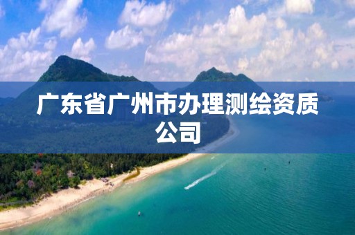 廣東省廣州市辦理測繪資質公司