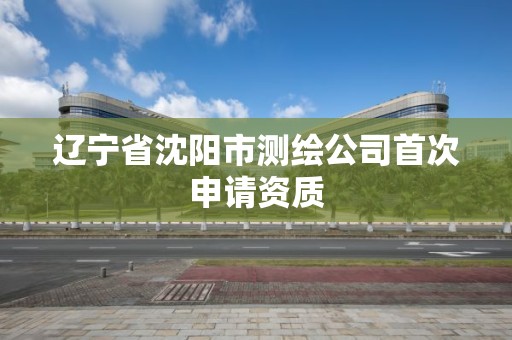 遼寧省沈陽市測繪公司首次申請資質