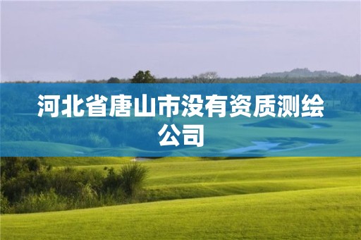 河北省唐山市沒有資質測繪公司