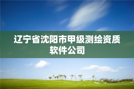 遼寧省沈陽市甲級測繪資質(zhì)軟件公司