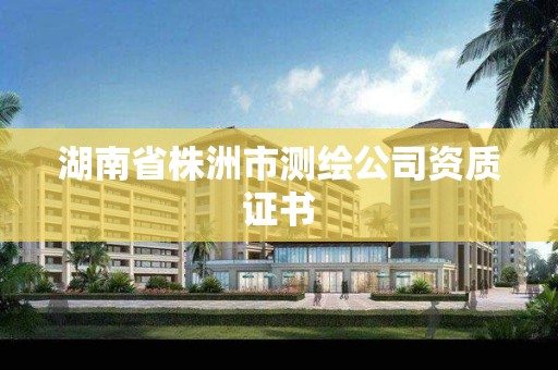 湖南省株洲市測繪公司資質證書