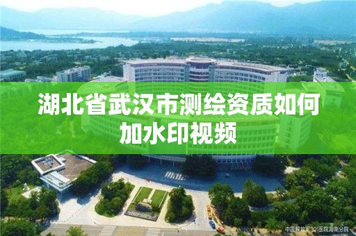 湖北省武漢市測繪資質如何加水印視頻