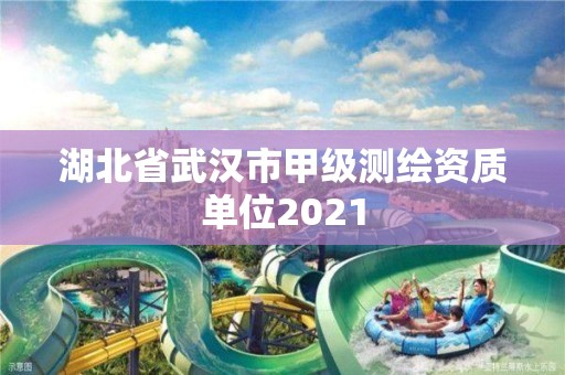 湖北省武漢市甲級測繪資質單位2021