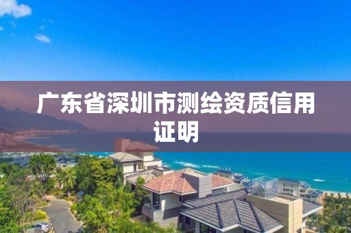 廣東省深圳市測繪資質信用證明