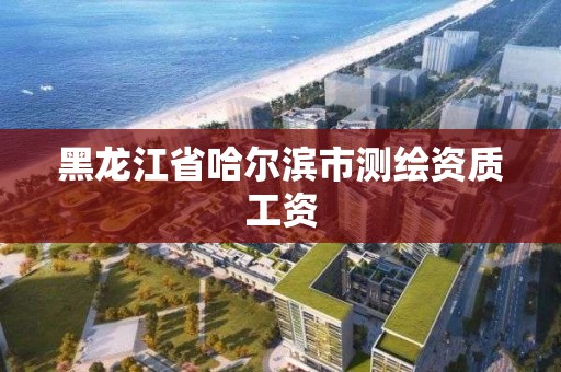 黑龍江省哈爾濱市測繪資質(zhì)工資