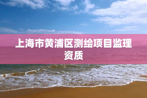 上海市黃浦區測繪項目監理資質