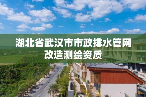 湖北省武漢市市政排水管網改造測繪資質