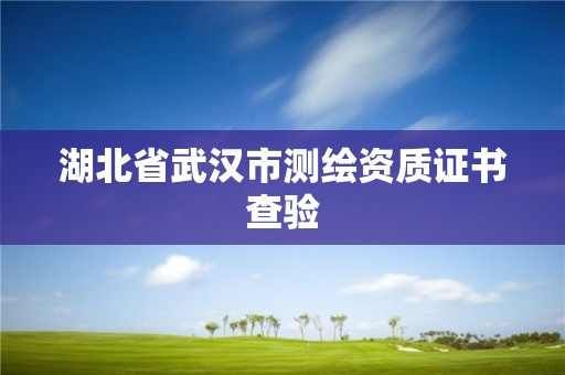 湖北省武漢市測繪資質證書查驗