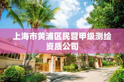 上海市黃浦區民營甲級測繪資質公司