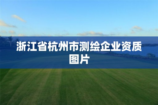 浙江省杭州市測繪企業資質圖片