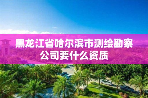 黑龍江省哈爾濱市測繪勘察公司要什么資質