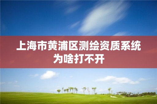 上海市黃浦區測繪資質系統為啥打不開