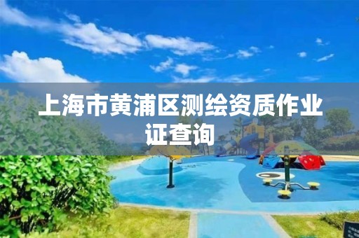 上海市黃浦區測繪資質作業證查詢