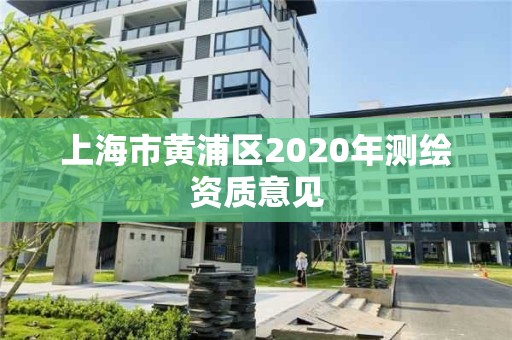 上海市黃浦區2020年測繪資質意見