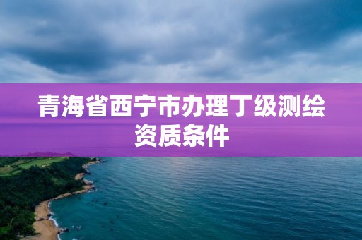 青海省西寧市辦理丁級測繪資質條件