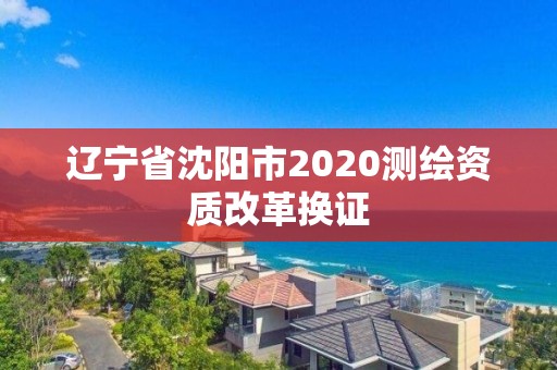 遼寧省沈陽市2020測繪資質改革換證