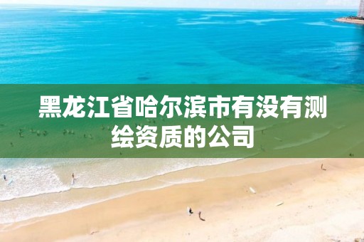 黑龍江省哈爾濱市有沒有測繪資質的公司