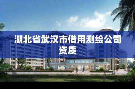 湖北省武漢市借用測繪公司資質