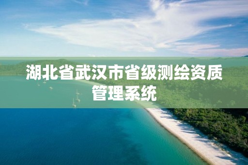 湖北省武漢市省級測繪資質管理系統