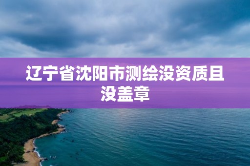 遼寧省沈陽市測繪沒資質且沒蓋章