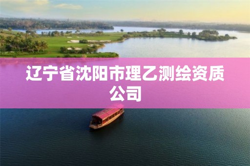 遼寧省沈陽市理乙測繪資質(zhì)公司