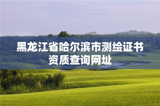 黑龍江省哈爾濱市測繪證書資質查詢網址