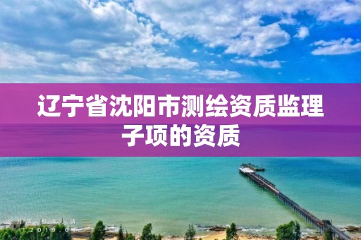 遼寧省沈陽市測繪資質監理子項的資質