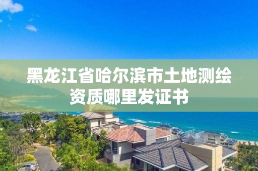 黑龍江省哈爾濱市土地測繪資質哪里發證書