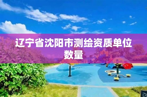 遼寧省沈陽市測繪資質單位數量