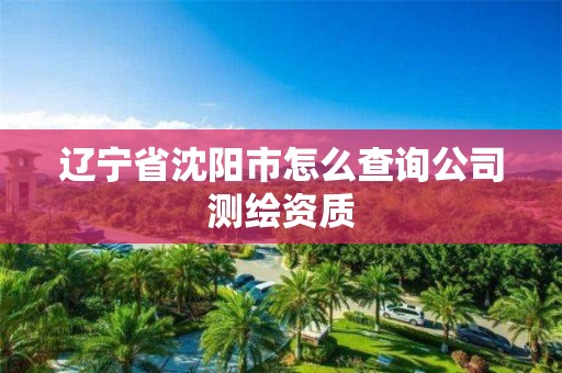 遼寧省沈陽市怎么查詢公司測繪資質