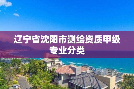 遼寧省沈陽市測繪資質甲級專業分類