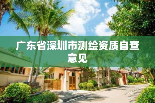 廣東省深圳市測(cè)繪資質(zhì)自查意見