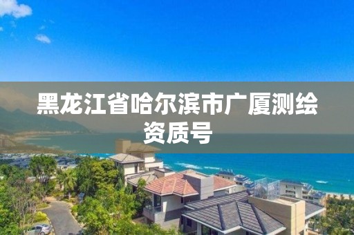 黑龍江省哈爾濱市廣廈測繪資質號